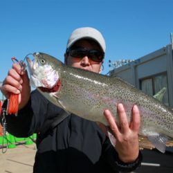 としまえんフィッシングエリア 釣果