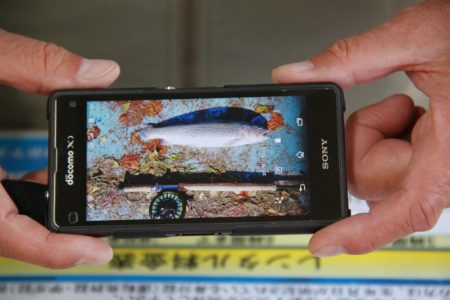 としまえんフィッシングエリア 釣果