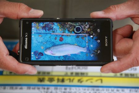 としまえんフィッシングエリア 釣果