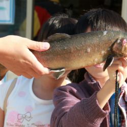 としまえんフィッシングエリア 釣果