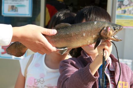 としまえんフィッシングエリア 釣果