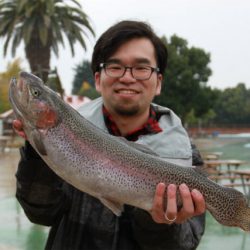 としまえんフィッシングエリア 釣果