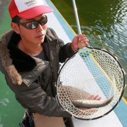 としまえんフィッシングエリア 釣果