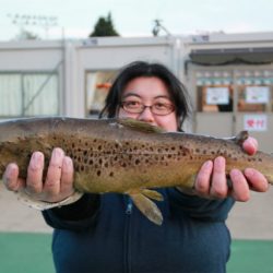 としまえんフィッシングエリア 釣果
