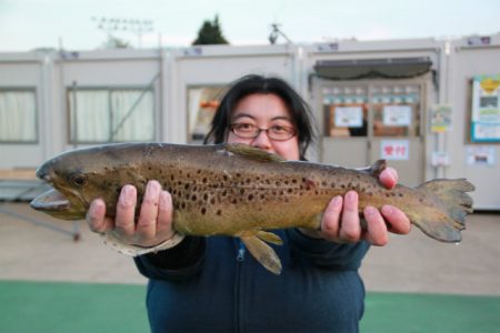 としまえんフィッシングエリア 釣果