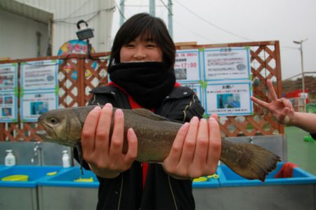 としまえんフィッシングエリア 釣果