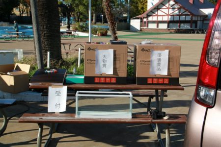 としまえんフィッシングエリア 釣果