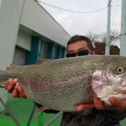 としまえんフィッシングエリア 釣果