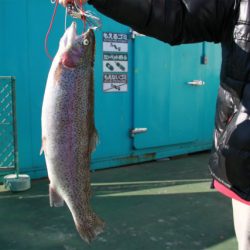 としまえんフィッシングエリア 釣果