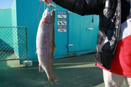 としまえんフィッシングエリア 釣果