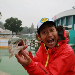 としまえんフィッシングエリア 釣果