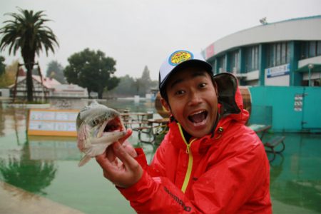 としまえんフィッシングエリア 釣果