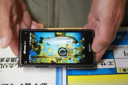 としまえんフィッシングエリア 釣果