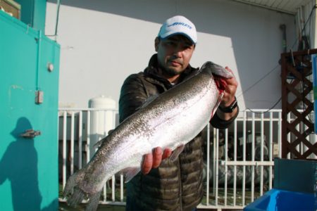 としまえんフィッシングエリア 釣果