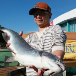 としまえんフィッシングエリア 釣果