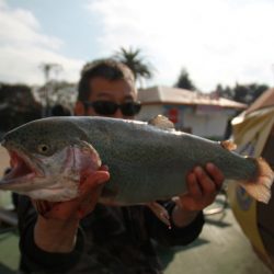 としまえんフィッシングエリア 釣果