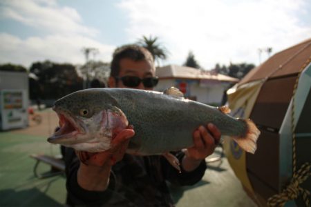 としまえんフィッシングエリア 釣果