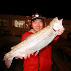 としまえんフィッシングエリア 釣果