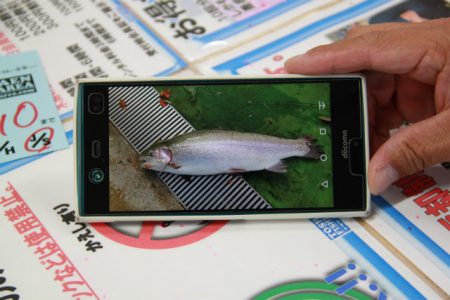 としまえんフィッシングエリア 釣果