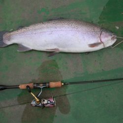 としまえんフィッシングエリア 釣果