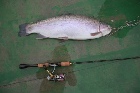 としまえんフィッシングエリア 釣果