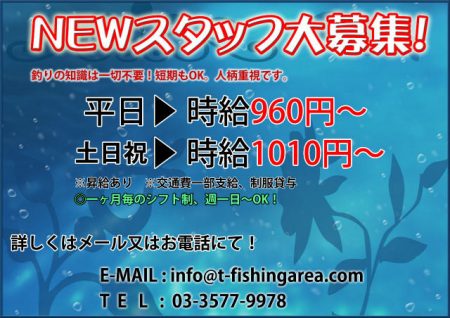 としまえんフィッシングエリア 釣果