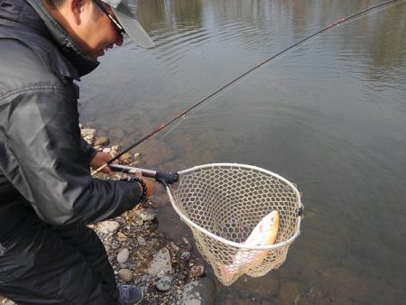 つりぼりあかし 釣果