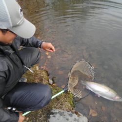 つりぼりあかし 釣果