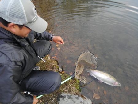 つりぼりあかし 釣果