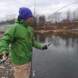 つりぼりあかし 釣果