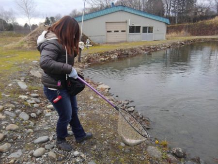 つりぼりあかし 釣果