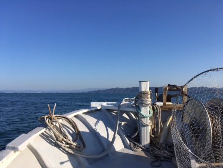 金栄丸 釣果