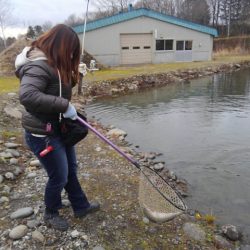 つりぼりあかし 釣果