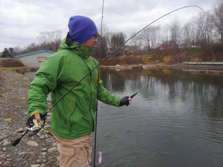 つりぼりあかし 釣果