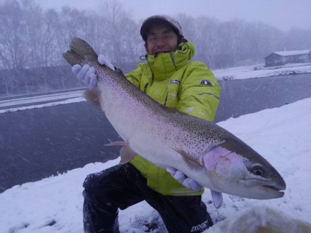 つりぼりあかし 釣果
