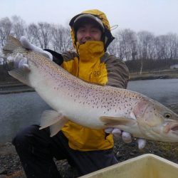 つりぼりあかし 釣果