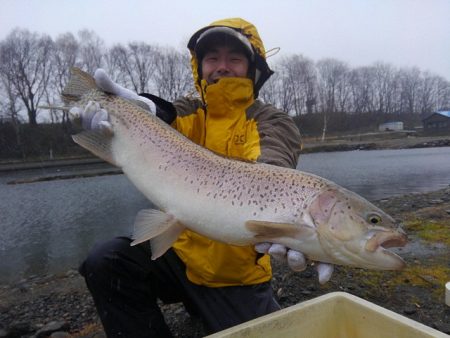 つりぼりあかし 釣果
