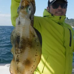 ブルースフィッシングサービス 釣果