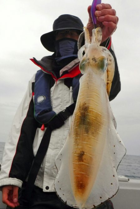 ブルースフィッシングサービス 釣果