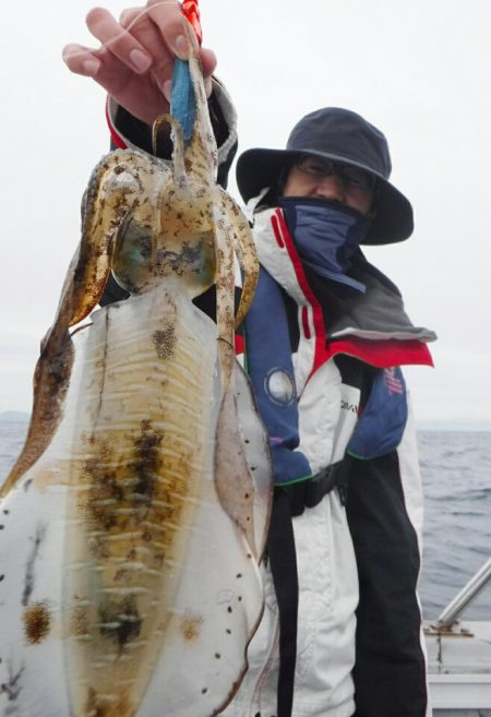 ブルースフィッシングサービス 釣果