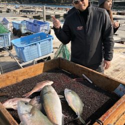 海の釣堀 海恵 釣果