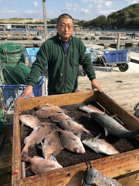 海の釣堀 海恵 釣果