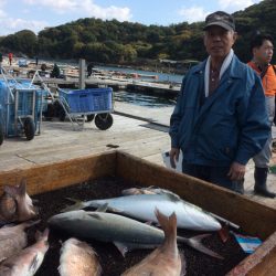 海の釣堀 海恵 釣果