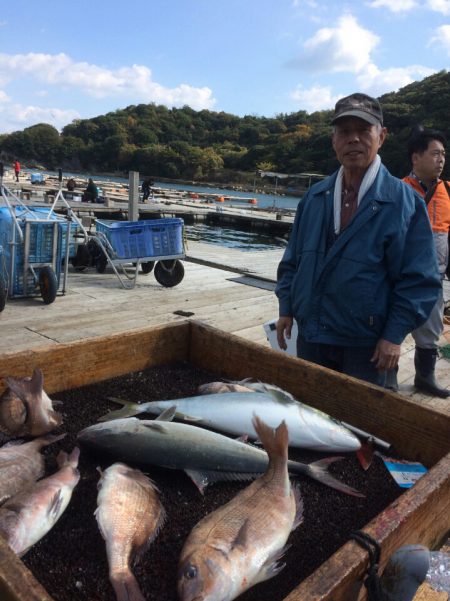 海の釣堀 海恵 釣果