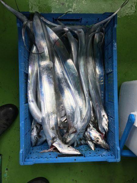 小島丸 釣果