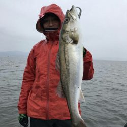 アマテラス 釣果