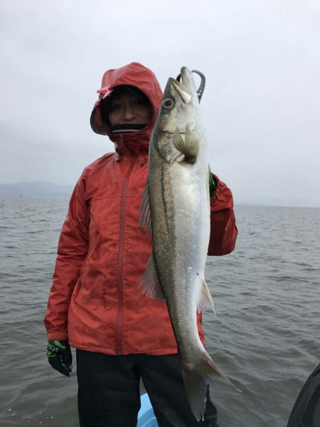 アマテラス 釣果