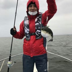 アマテラス 釣果