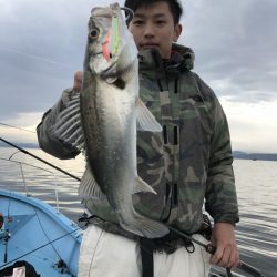 アマテラス 釣果