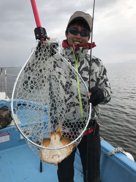 アマテラス 釣果